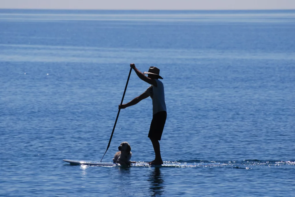 Mann mit Hund am Sup-Board, Füße fast im Wasser