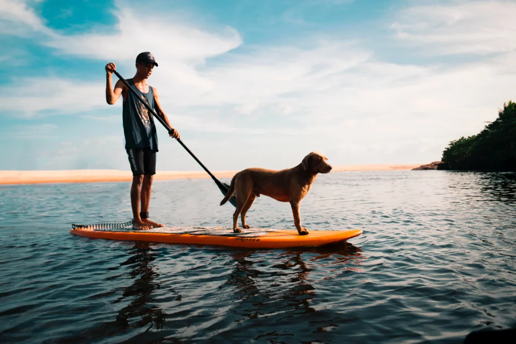 Mann mit Hund am Sup-Board